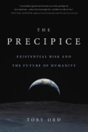 The Precipice book cover