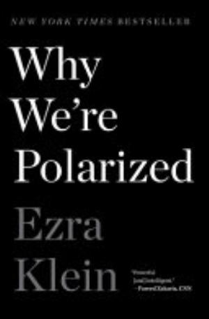Why We're Polarized book cover